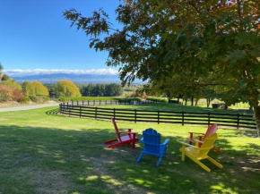Tree Hut Cottage, Masterton